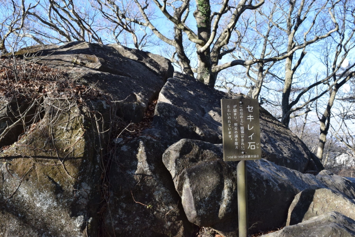 筑波山セキレイ石