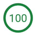 PageSpeed Insights 100点